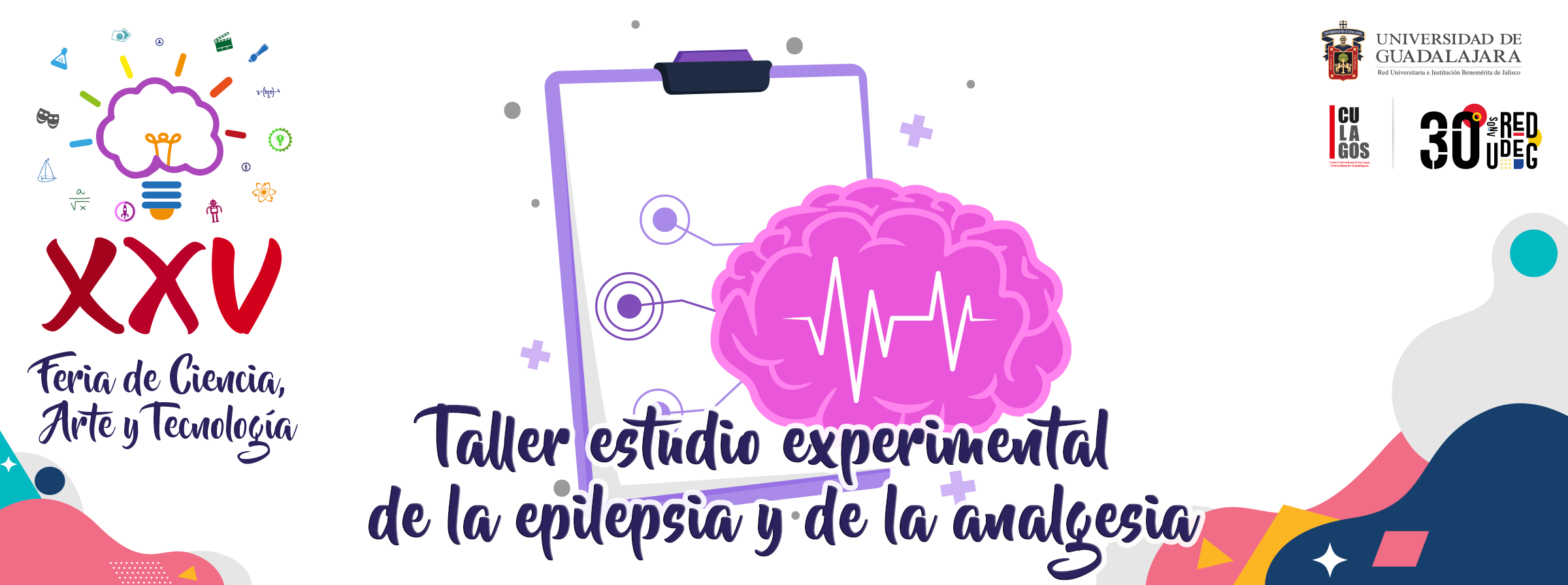 Banner - Taller: Estudio Experimental de La Epilepsia y la Analgesia