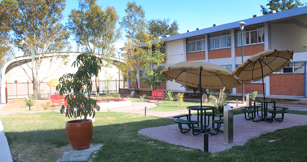 Sede Lagos de Moreno - Monumento Árbol vivo