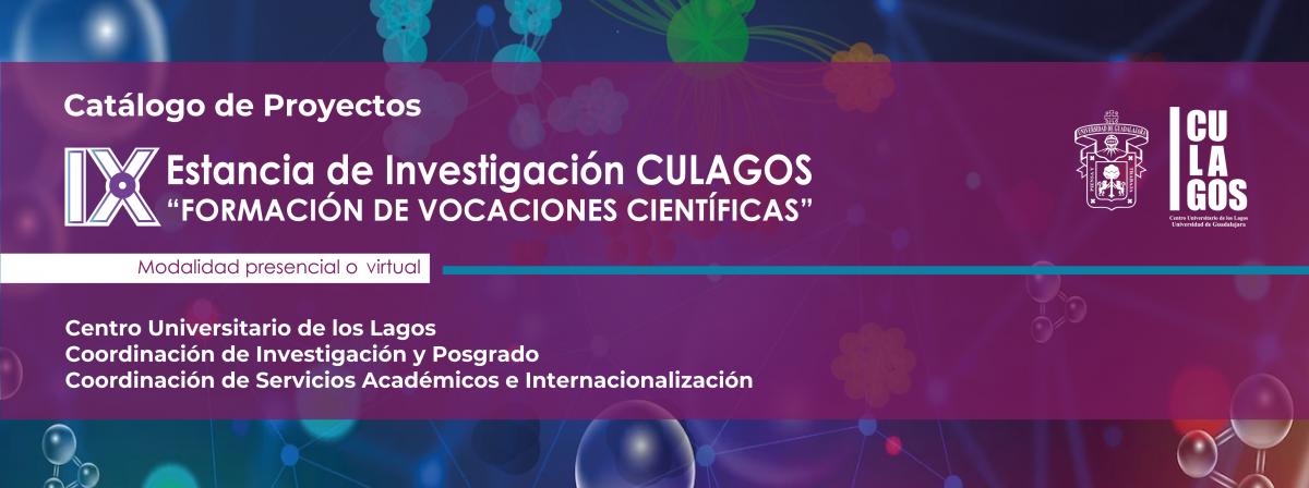 Banner IX Estancia de Investigación CULAGOS