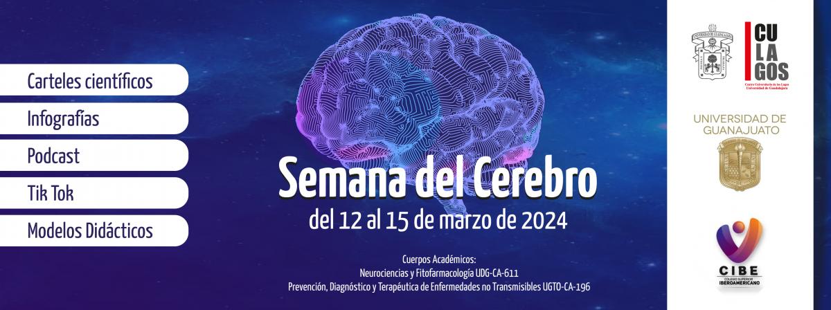 Banner - Semana del Cerebro 2024