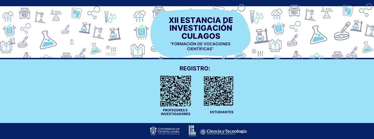 Verano de investigación Verano de investigación
