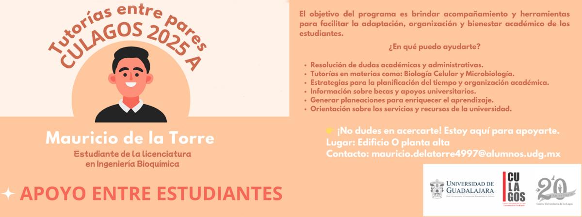 Tutorías entre pares - Mauricio de la Torre